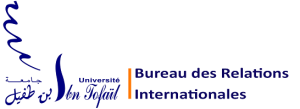 Informatique et applications universitÃ© Ibn tofail kenitra Maroc, Morocco
